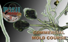 Commercial Mold Inspector Certification