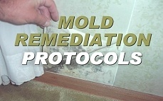 Mold Remediation Protocols