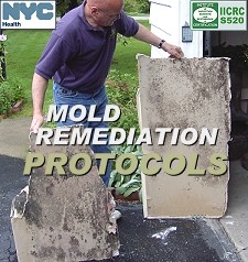 Mold Remediation Protocols